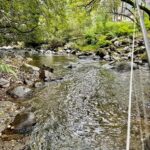 趣味はフライフィッシング３